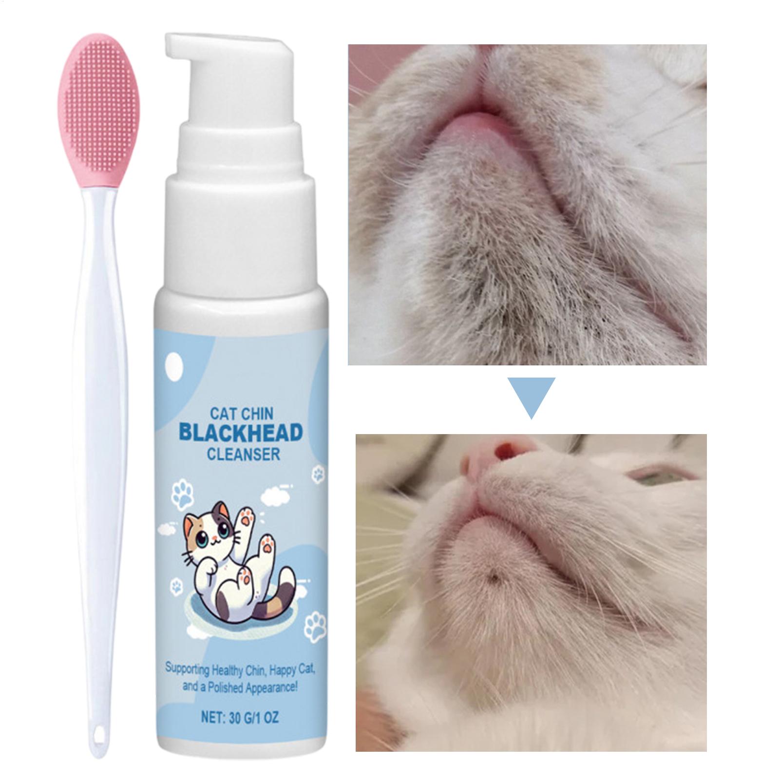 Pet Fountain Cleaning Kit - 30g Huisdier Kinreiniger met Tandenborstel, Lotion