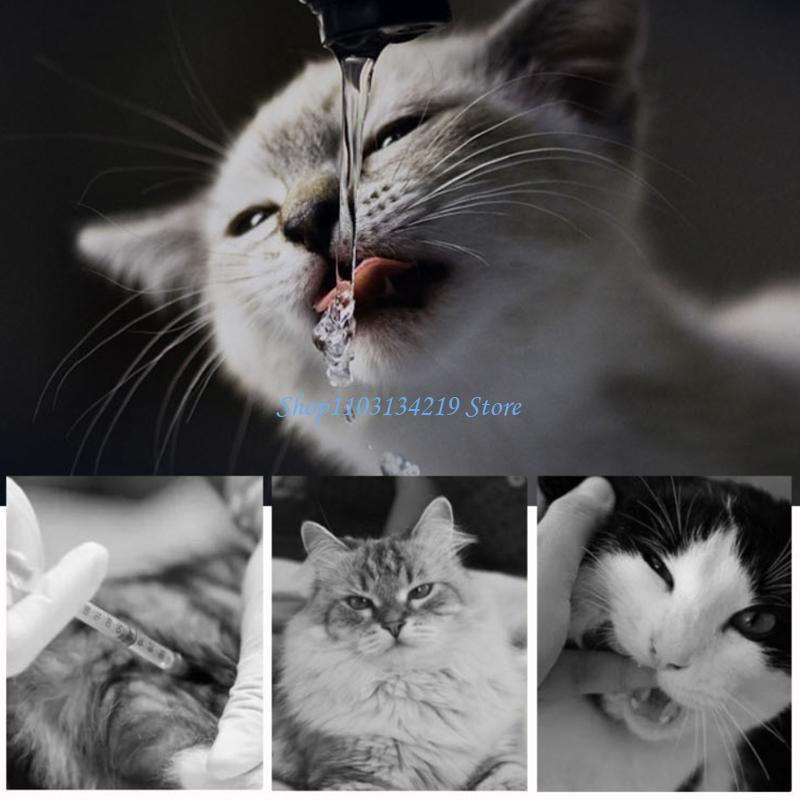 N5KC Huisdier Katten Fontein V - Pet Fountain Filter Replacement recensie en prijs