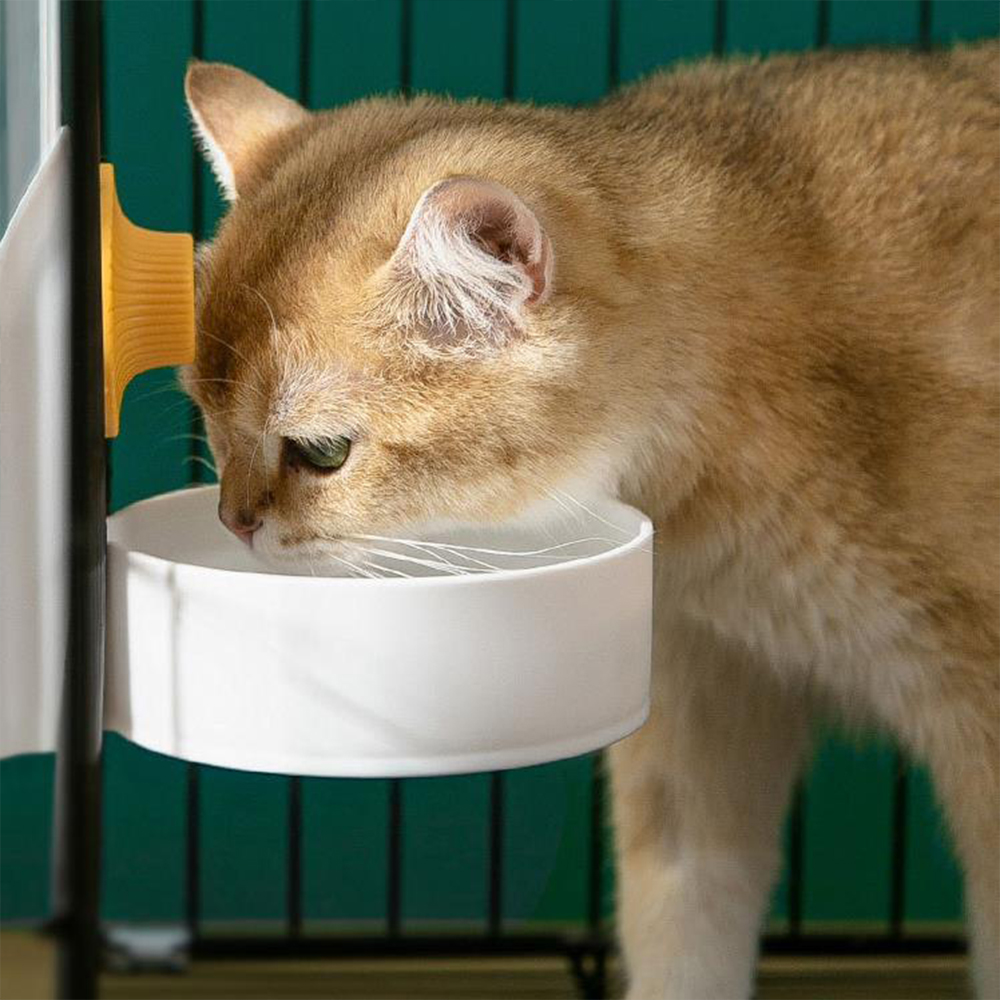 Grote capaciteit kattenkooi ha - Dog Water Fountain Large recensie en prijs