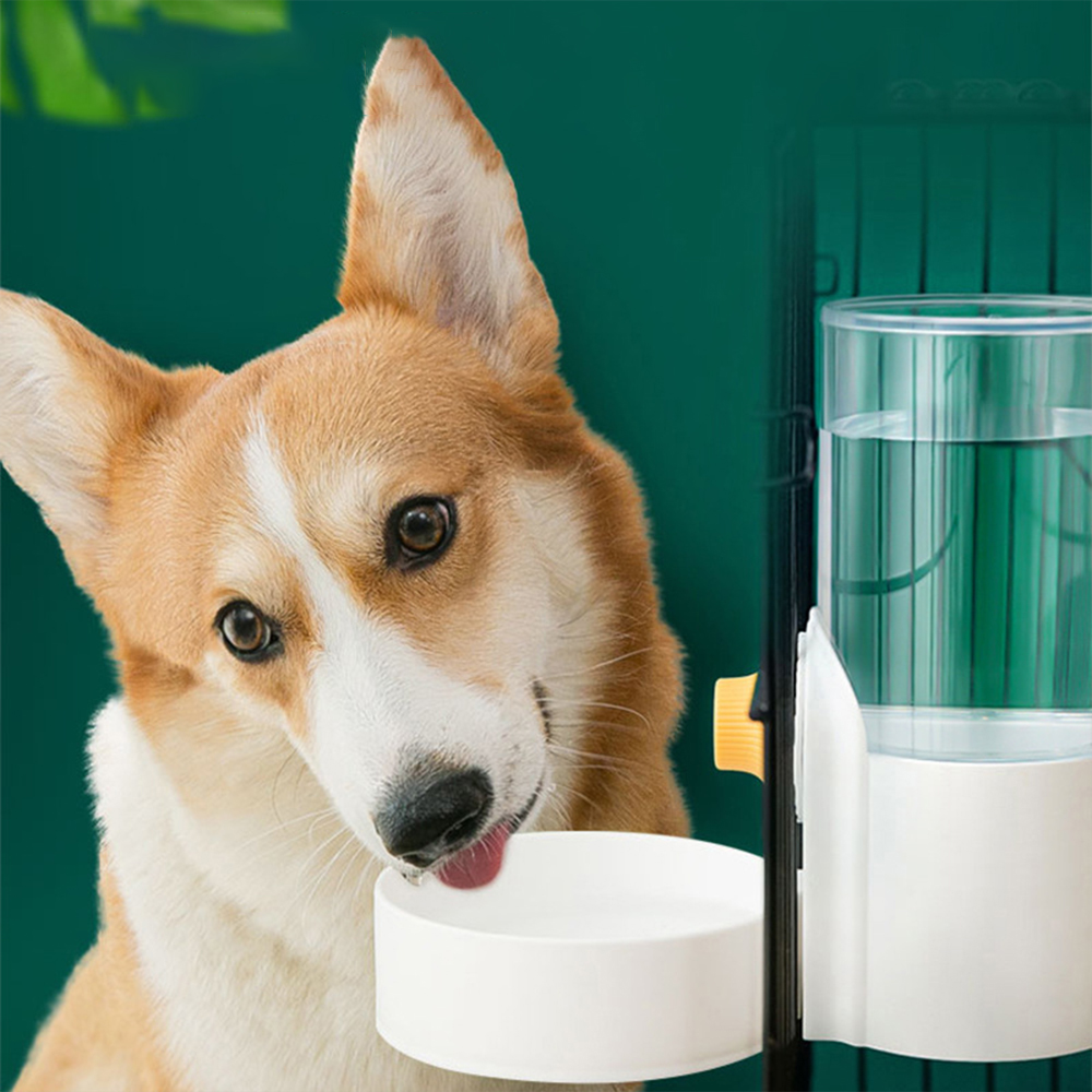 Grote capaciteit kattenkooi ha - Dog Water Fountain Large recensie en prijs