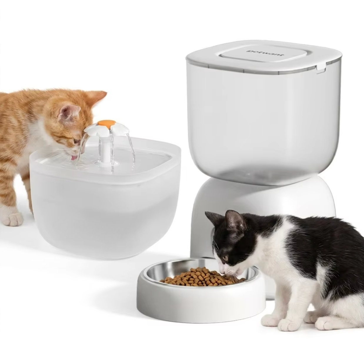 Slimme, automatische voer- en  - Smart Pet Water Fountain Wifi recensie en prijs
