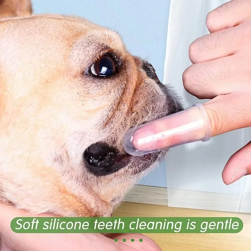 Superzachte vingerstandenborst - Pet Fountain Cleaning Kit recensie en prijs