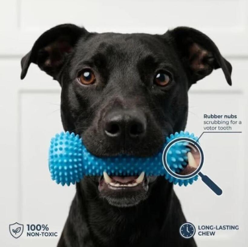 Dubbelzijdige tandenreinigings - Pet Fountain Cleaning Kit recensie en prijs