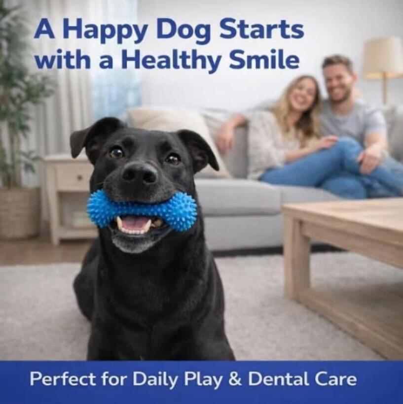Dubbelzijdige tandenreinigings - Pet Fountain Cleaning Kit recensie en prijs