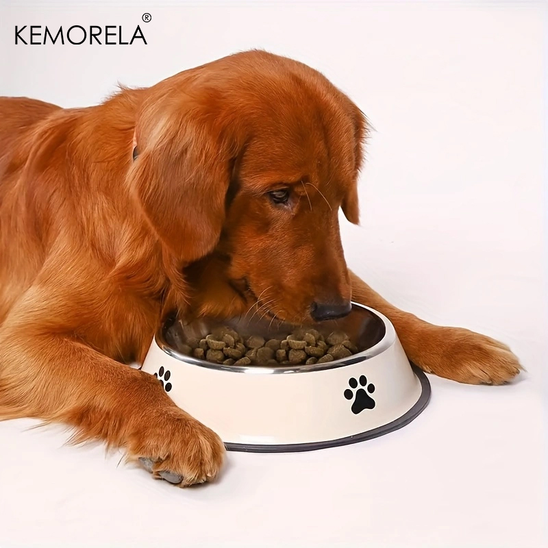 Roestvrijstalen Hondenkom Voer - Pet Water Fountain Stainless Steel recensie en prijs