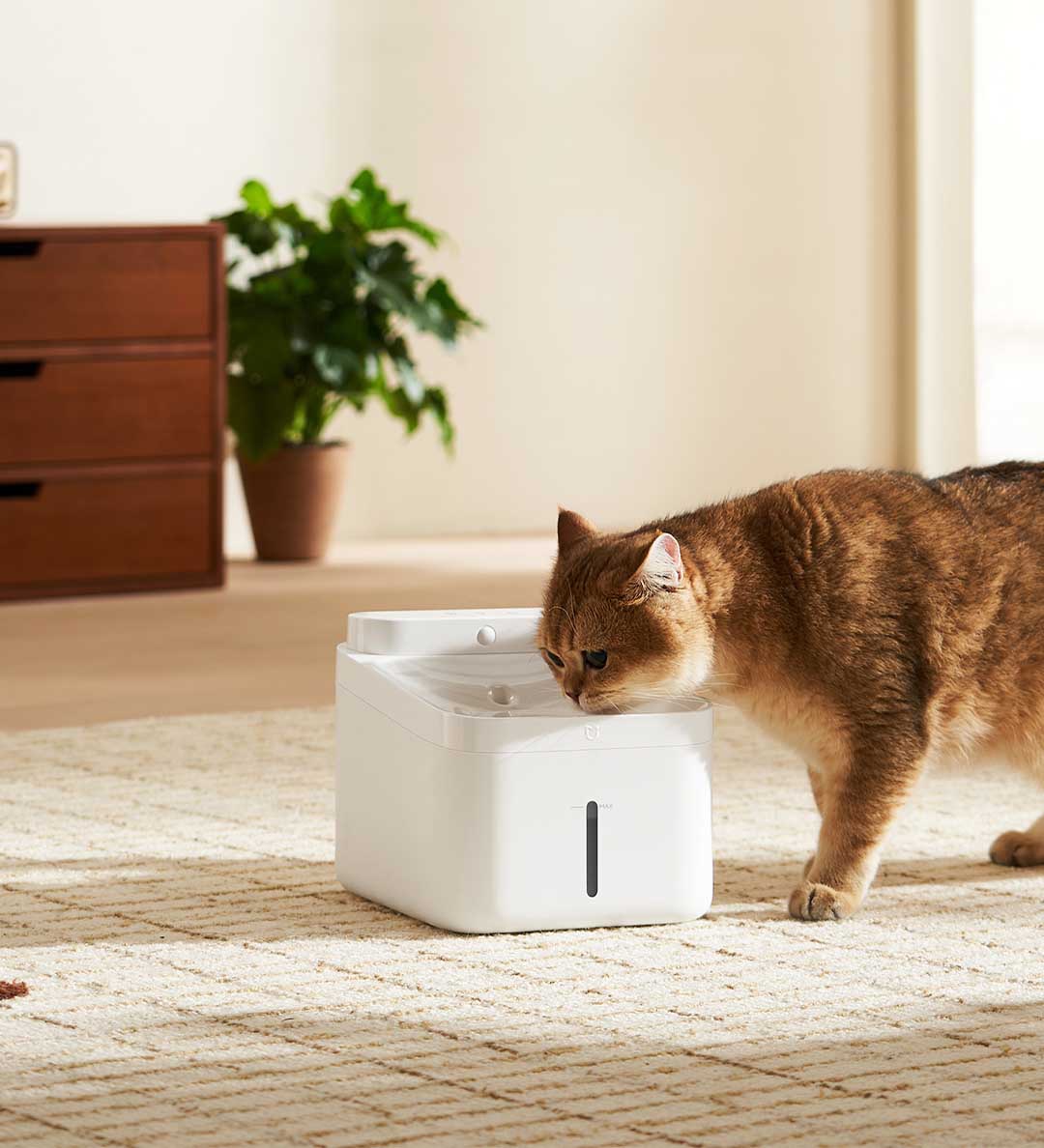 Nieuwe MIJIA slimme drinkfonte - Wireless Pet Water Fountain Battery recensie en prijs