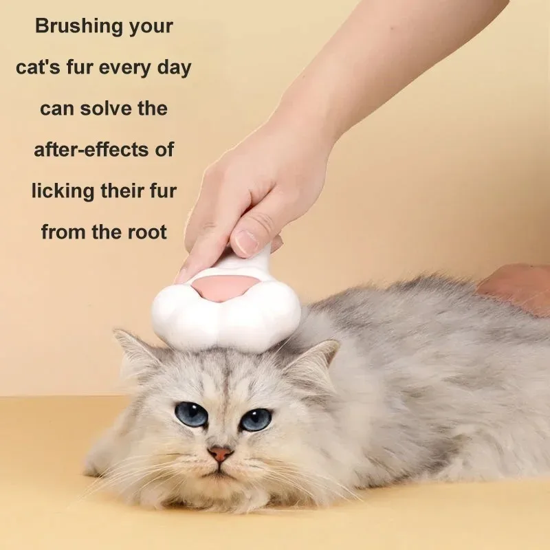 Leuke kattenpoot-verzorgingsbo - Pet Fountain Cleaning Kit recensie en prijs