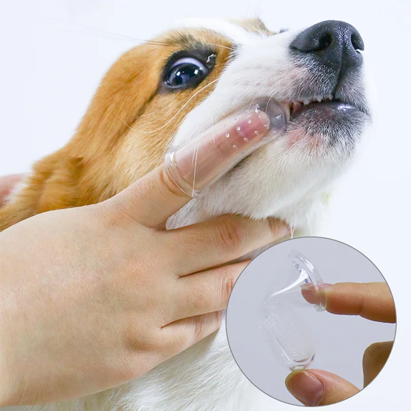 Superzachte vingerstandenborst - Pet Fountain Cleaning Kit recensie en prijs