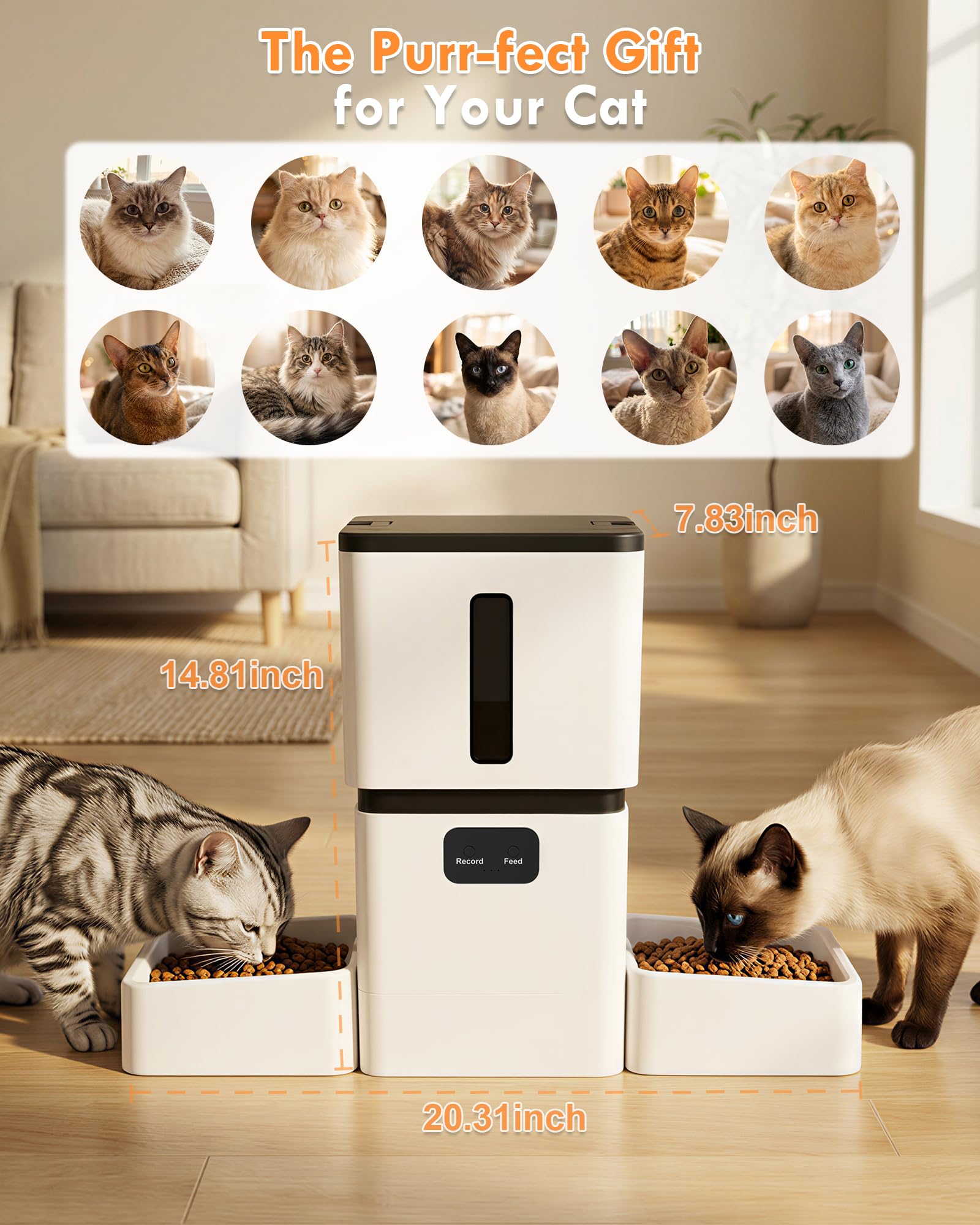 5GHz WiFi 8L Slimme Automatisc - Smart Pet Feeder Camera Wifi recensie en prijs